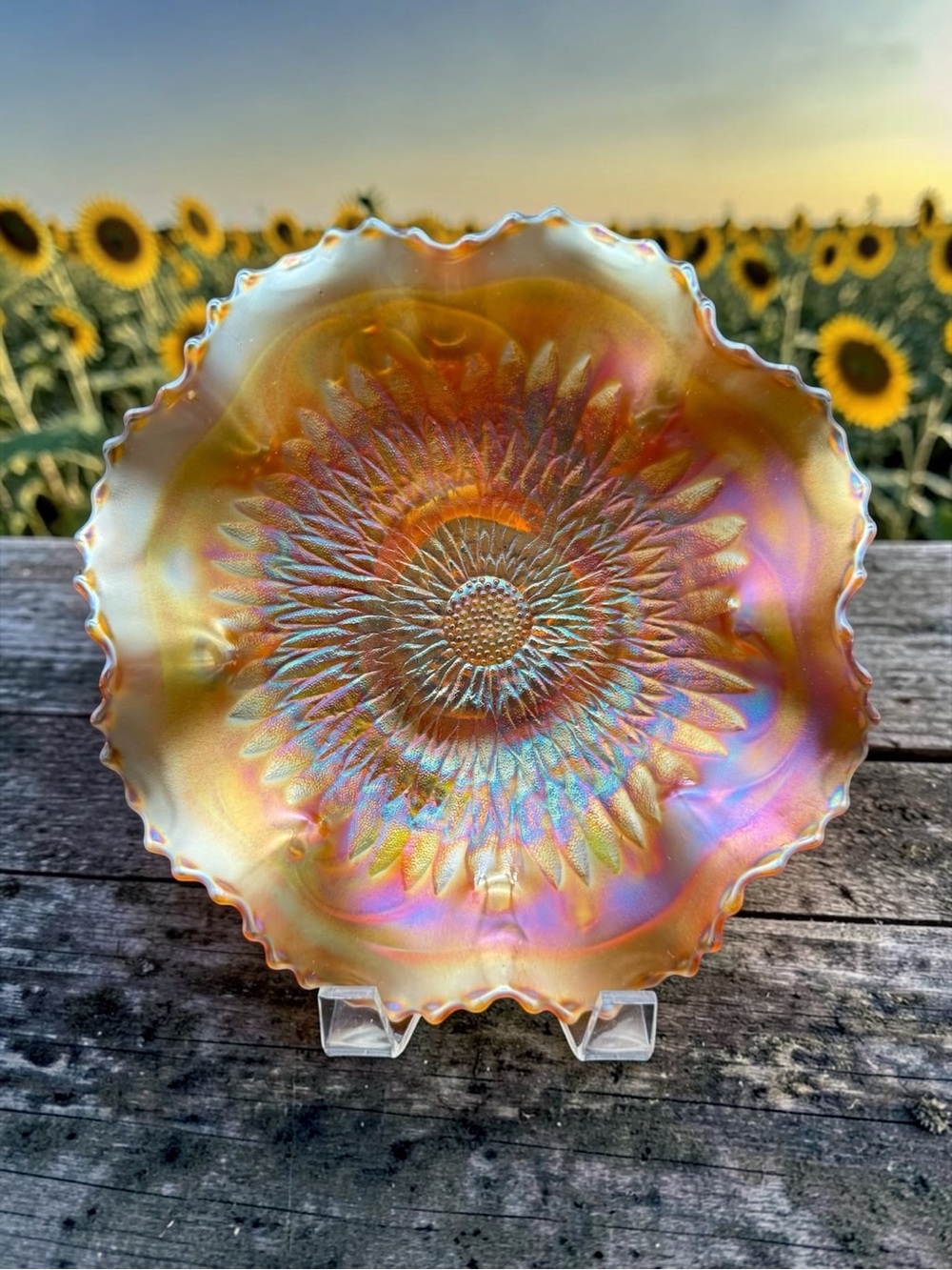 Northwood Pumpkin Marigold Sunflower Spatula Ftd Carnival Glass Master Bowl 9”